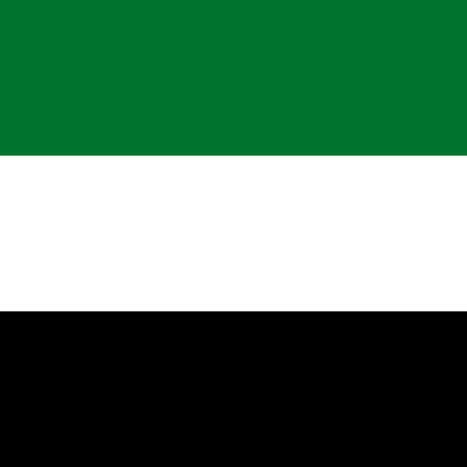 Flag_of_the_United_Arab_Emirates.svg